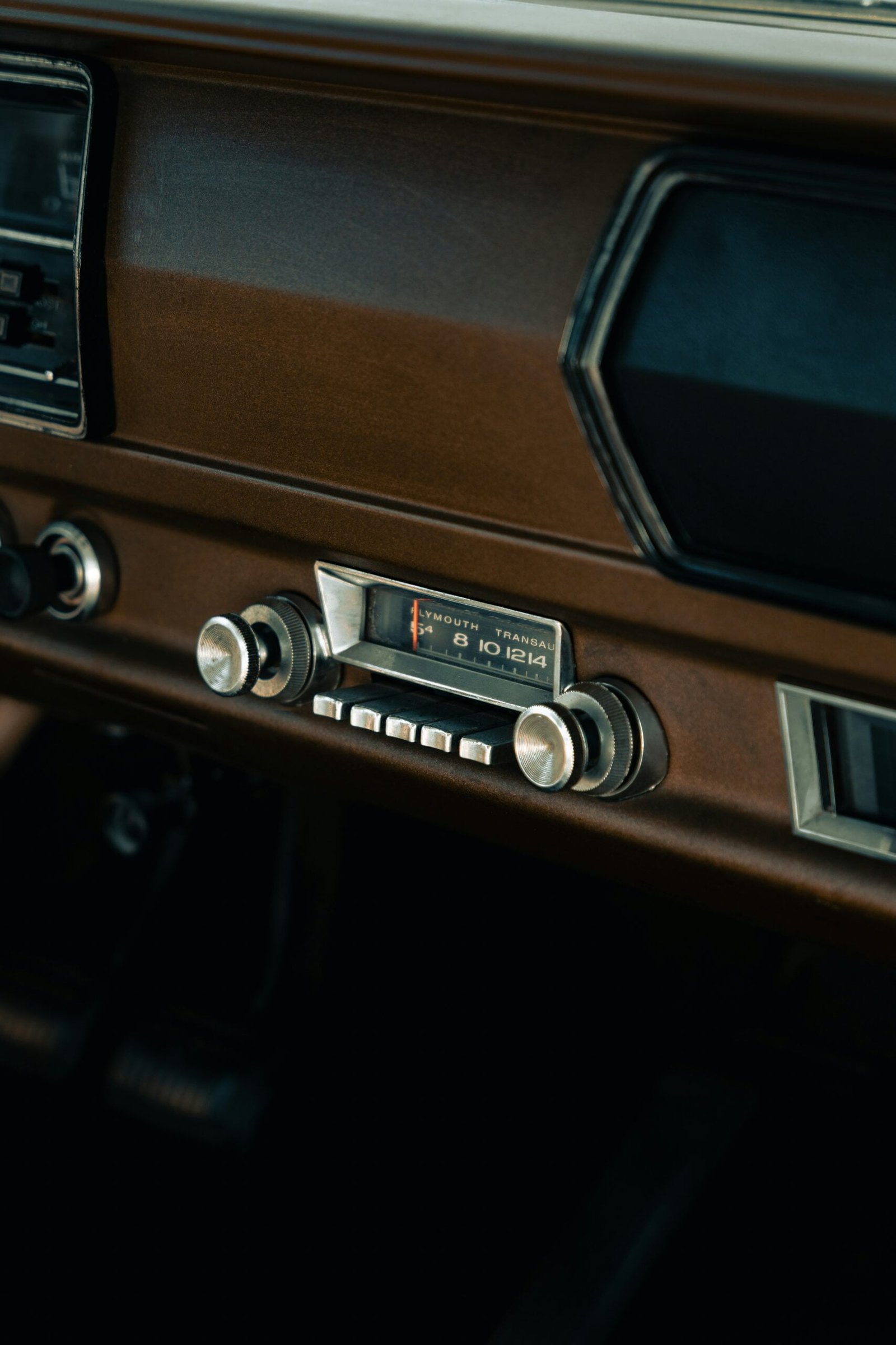 tiago-ferreira-myoh3FE2Ho4-unsplash